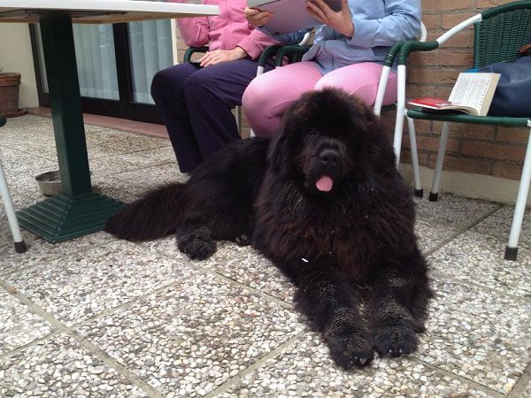 Hotel La Tavernetta - foto 19617.jpg