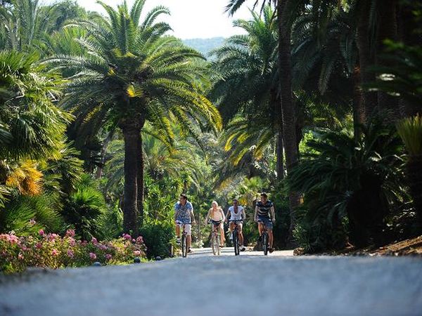 Rosselba le Palme - foto 19735.jpg