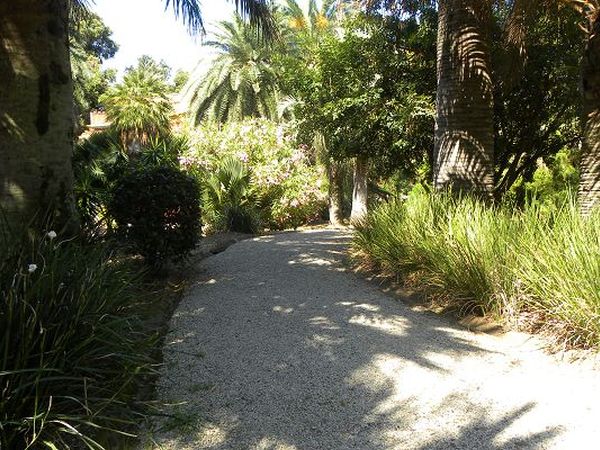 Rosselba le Palme - foto 19745.jpg