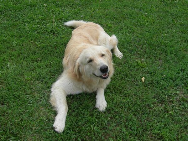 Casa Di Arola - foto 5011.jpg