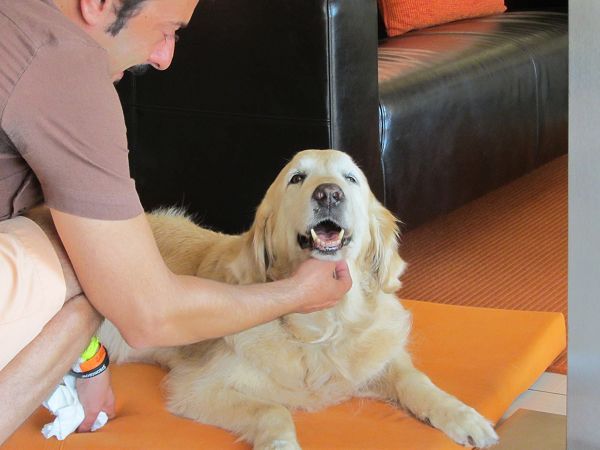 Residence Villa Beuca - foto 19793.jpg