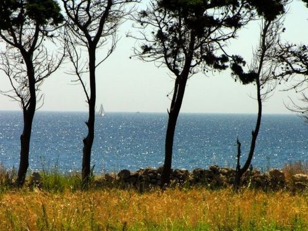 Masseria sul Mare - foto 19859.jpg