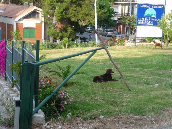 Camping Villaggio Internazionale - foto 19896.jpg