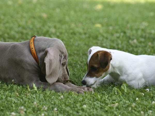 Agriturismo Ca bianca - foto 19970.jpg