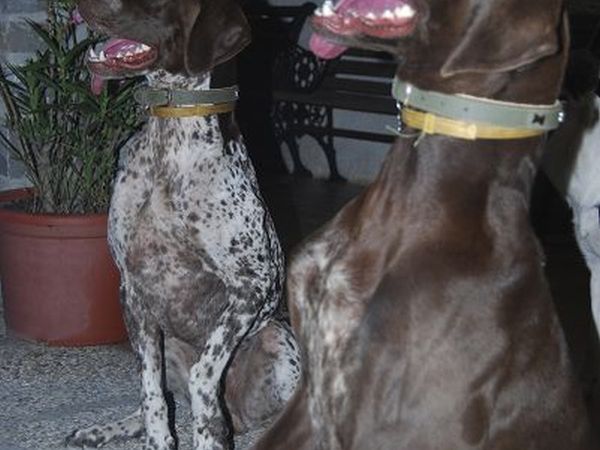 Agriturismo Ca bianca - foto 19974.jpg