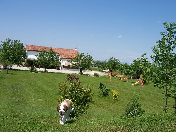 Agriturismo il Podere - foto 5431.jpg