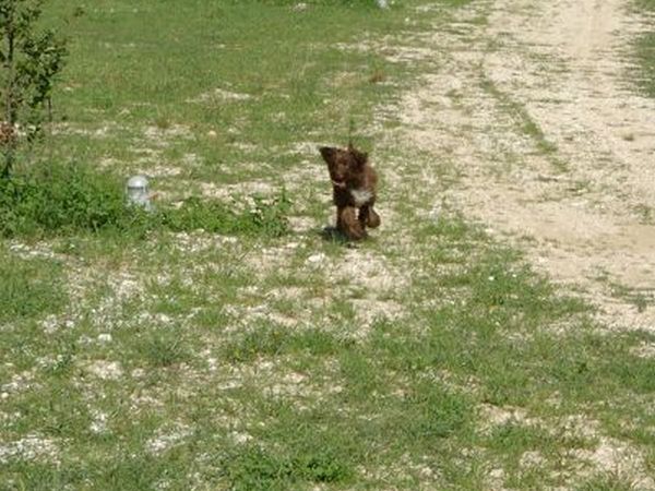 Agriturismo centro benessere Frescina - foto 20097.jpg