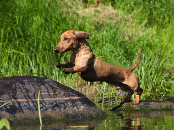 Residence Italia - foto 20114.jpg