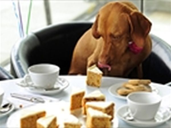 Residence Italia - foto 20182.jpg