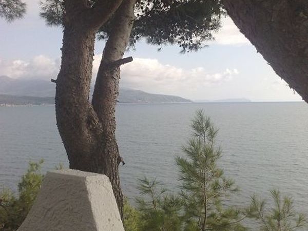 Casa Vacanza in Campagna sul Mare - foto 20240.jpg