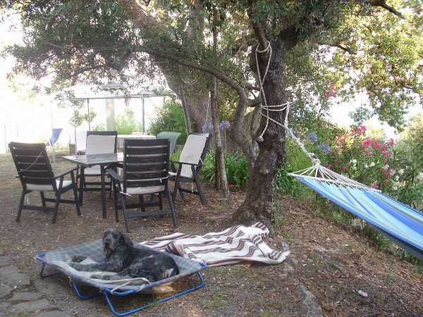 Casa Vacanza in Campagna sul Mare - foto 20247.jpg