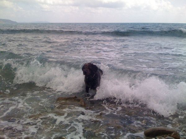 Casa Vacanza in Campagna sul Mare - foto 20249.jpg