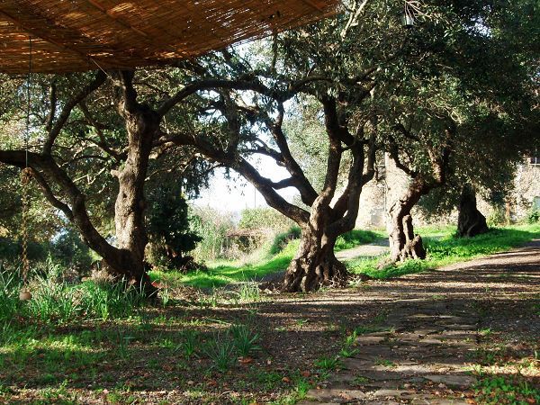 Casa Vacanza in Campagna sul Mare - foto 20253.jpg