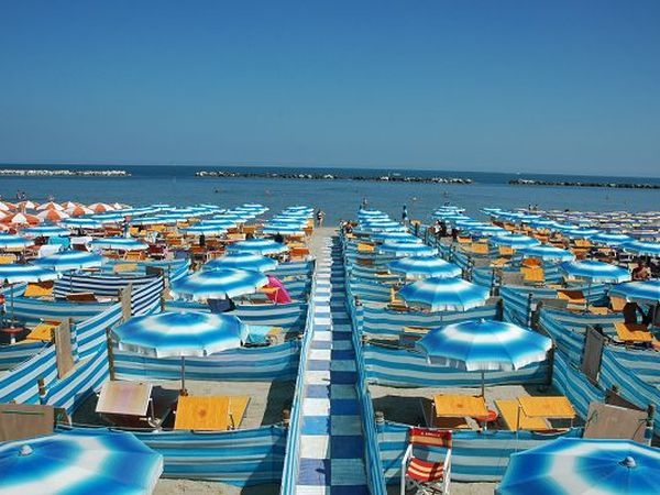 Dog Beach Corallo 45 - foto 20266.jpg