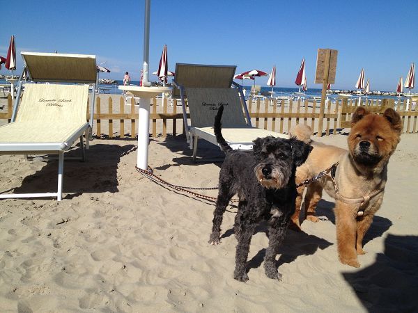 Locanda delle Dune - foto 20303.jpg