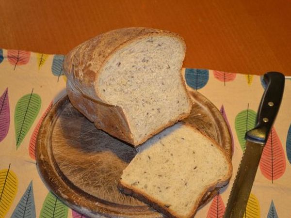 Agriturismo Collina Dei Fagiani  - foto 20343.jpg