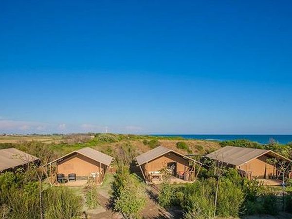 Il Campeggio di Capalbio - foto 20369.jpg