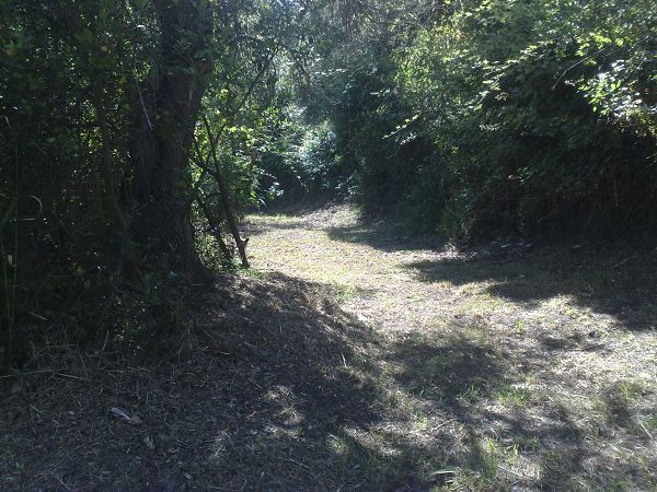 Casa Vacanza in Campagna sul Mare - foto 20419.jpg