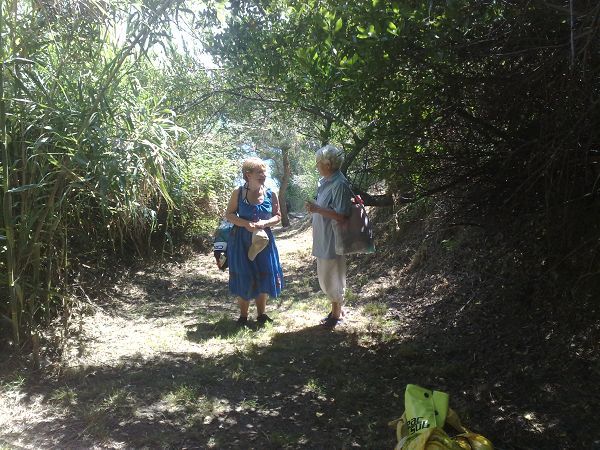 Casa Vacanza in Campagna sul Mare - foto 20420.jpg