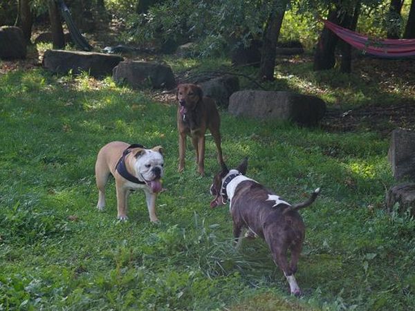 Agriturismo La Ferraia - foto 20448.jpg