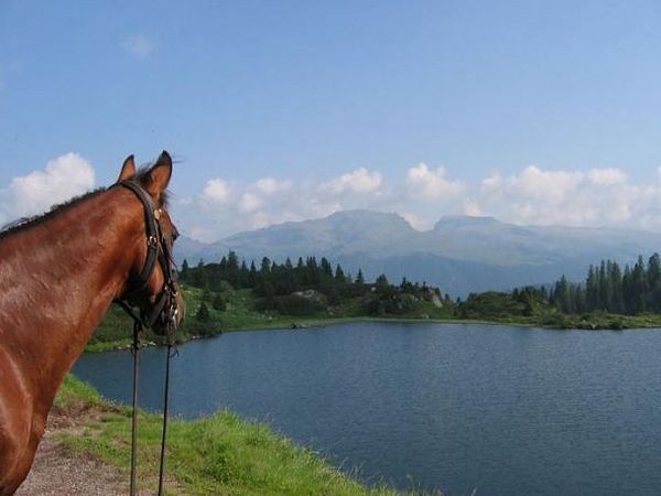 Sporting Hotel San Felice - foto 20536.jpg