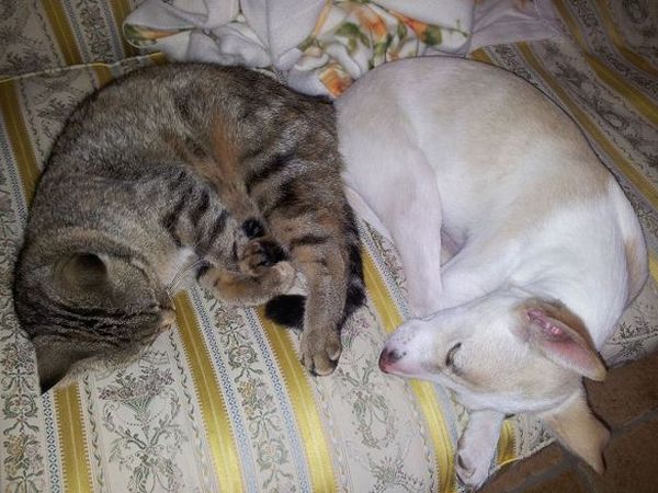 Agriturismo Le Bacche di Ginepro - foto 20549.jpg