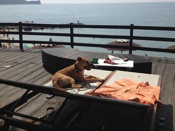 Baba Beach  - foto 20644.jpg