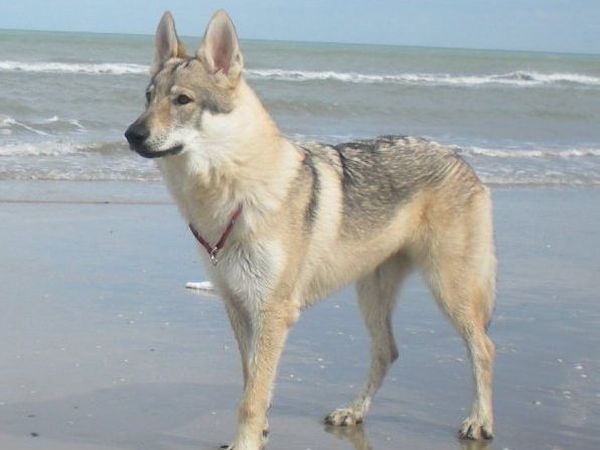 Hotel Virginia - foto 20648.jpg