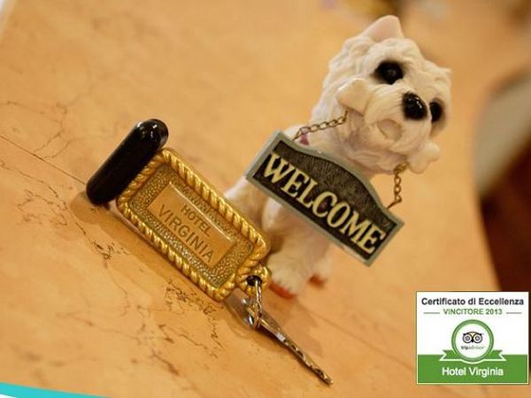 Hotel Virginia - foto 20649.jpg