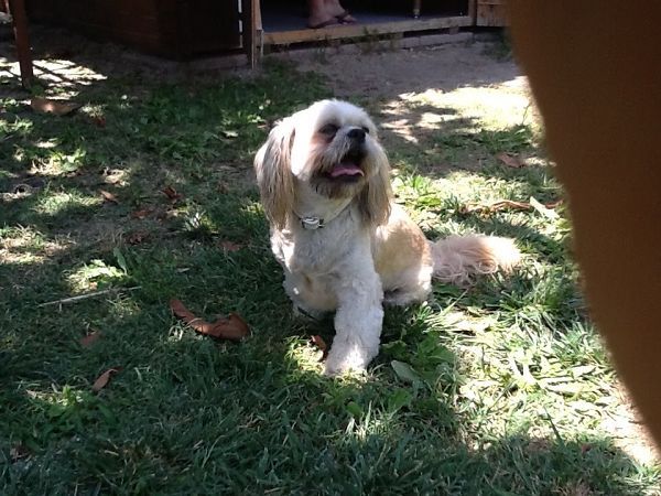 La Torre di SantAntonio - foto 20699.jpg