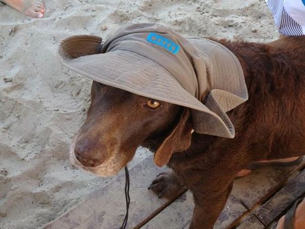 Puntone Beach - foto 20743.jpg