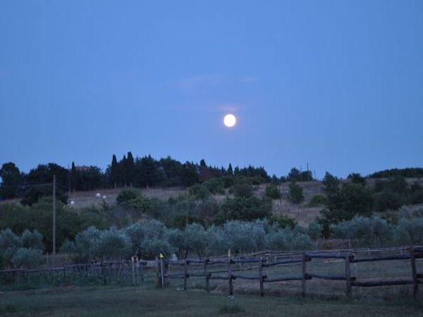 Il Diavolino - foto 20839.jpg