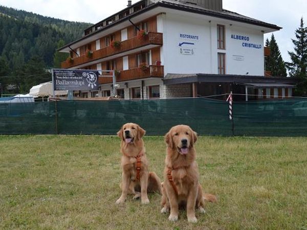 Hotel Cristallo  - foto 20859.jpg