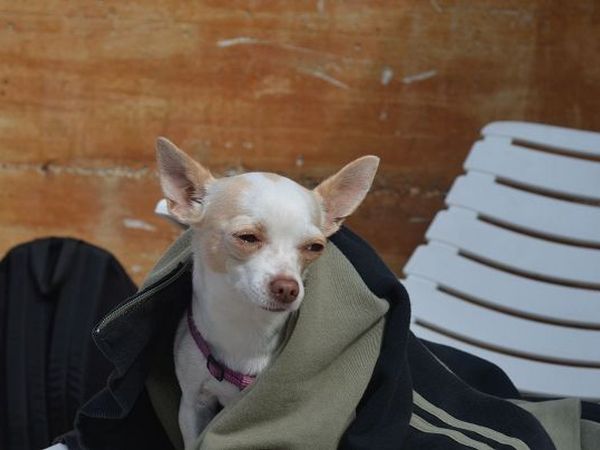 Hotel Cristallo  - foto 20861.jpg