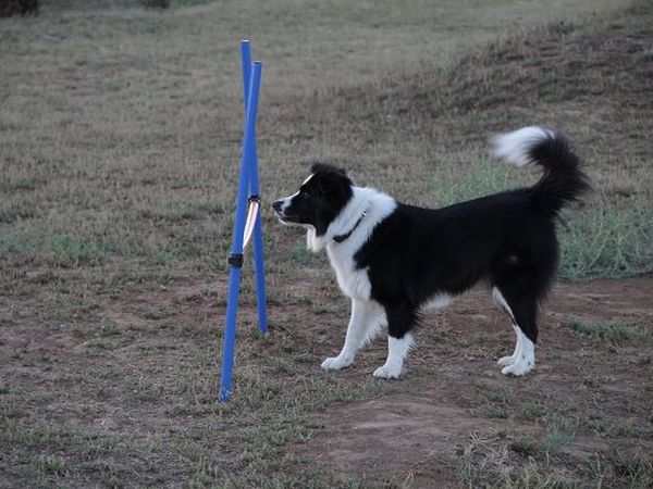 Residence Talamone il Poderino - foto 20933.jpg