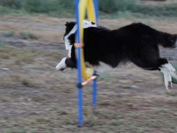 Residence Talamone il Poderino - foto 20934.jpg