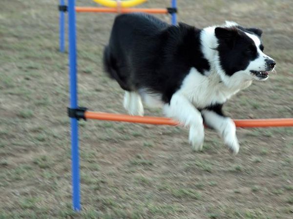 Residence Talamone il Poderino - foto 20935.jpg