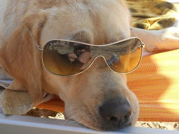 Hotel Zeus - foto 20953.jpg