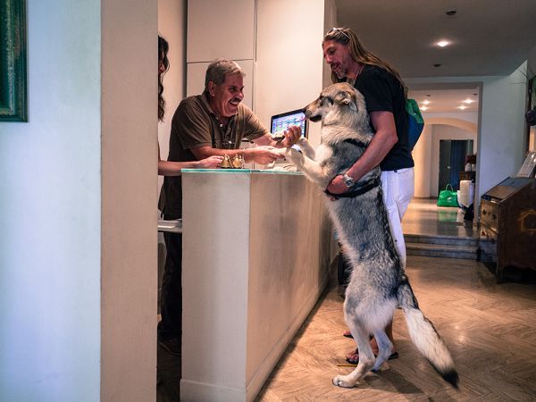 Hotel Principe for Pet Lovers - foto 21006.jpg