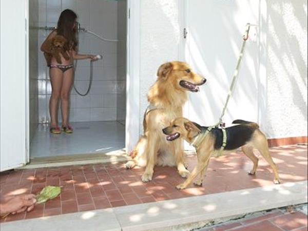 Camping Villaggio Gilda - foto 21047.jpg