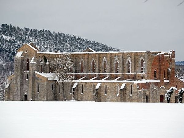 Podere Leccetro - foto 21053.jpg