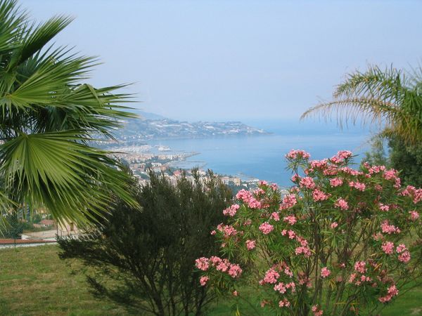 Villa Profumo dei Fiori - foto 21071.jpg