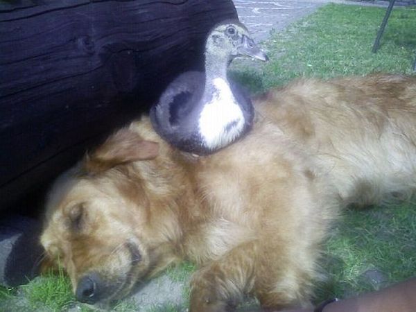 Hotel Petit Prince - foto 21138.jpg