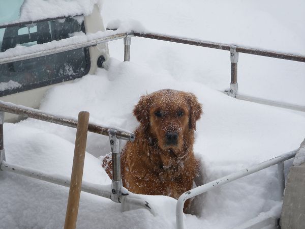 Hotel Petit Prince - foto 21139.jpg