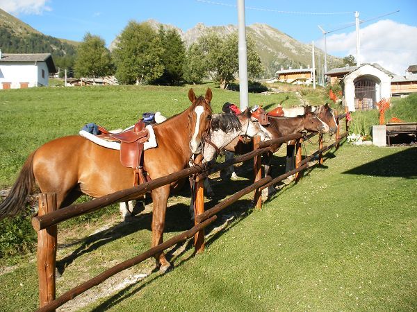 Hotel Petit Prince - foto 21140.jpg