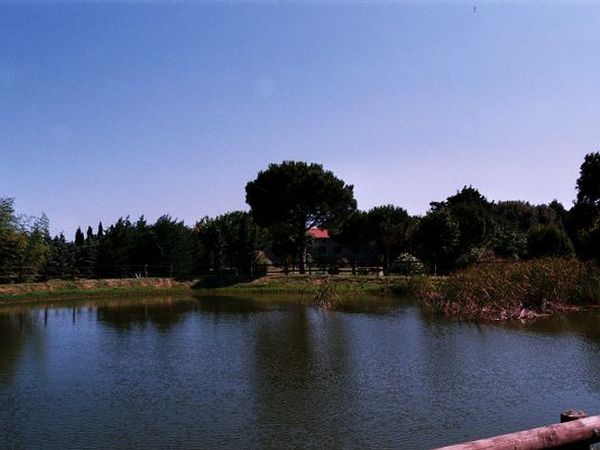 Agriturismo La Pieve - foto 21241.jpg