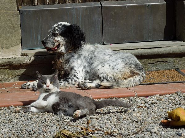 Agriturismo La Pieve - foto 21252.jpg