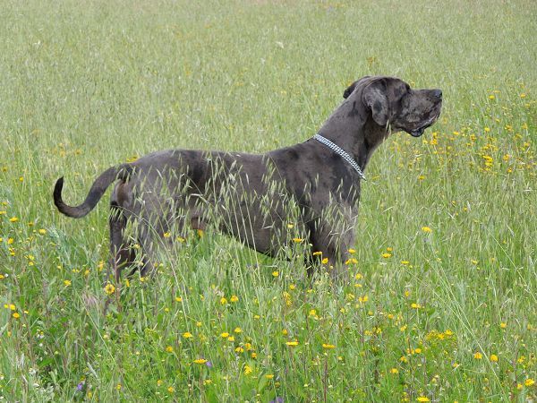 Agriturismo La Pieve - foto 21259.jpg