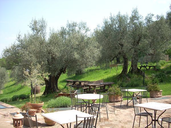 Il Cantico della Natura - Agri Biologico - foto 21321.jpg