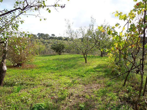 Agriturismo La Pieve - foto 21457.jpg